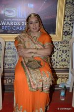 at ITA Awards red carpet in Mumbai on 4th Nov 2012 (69).JPG